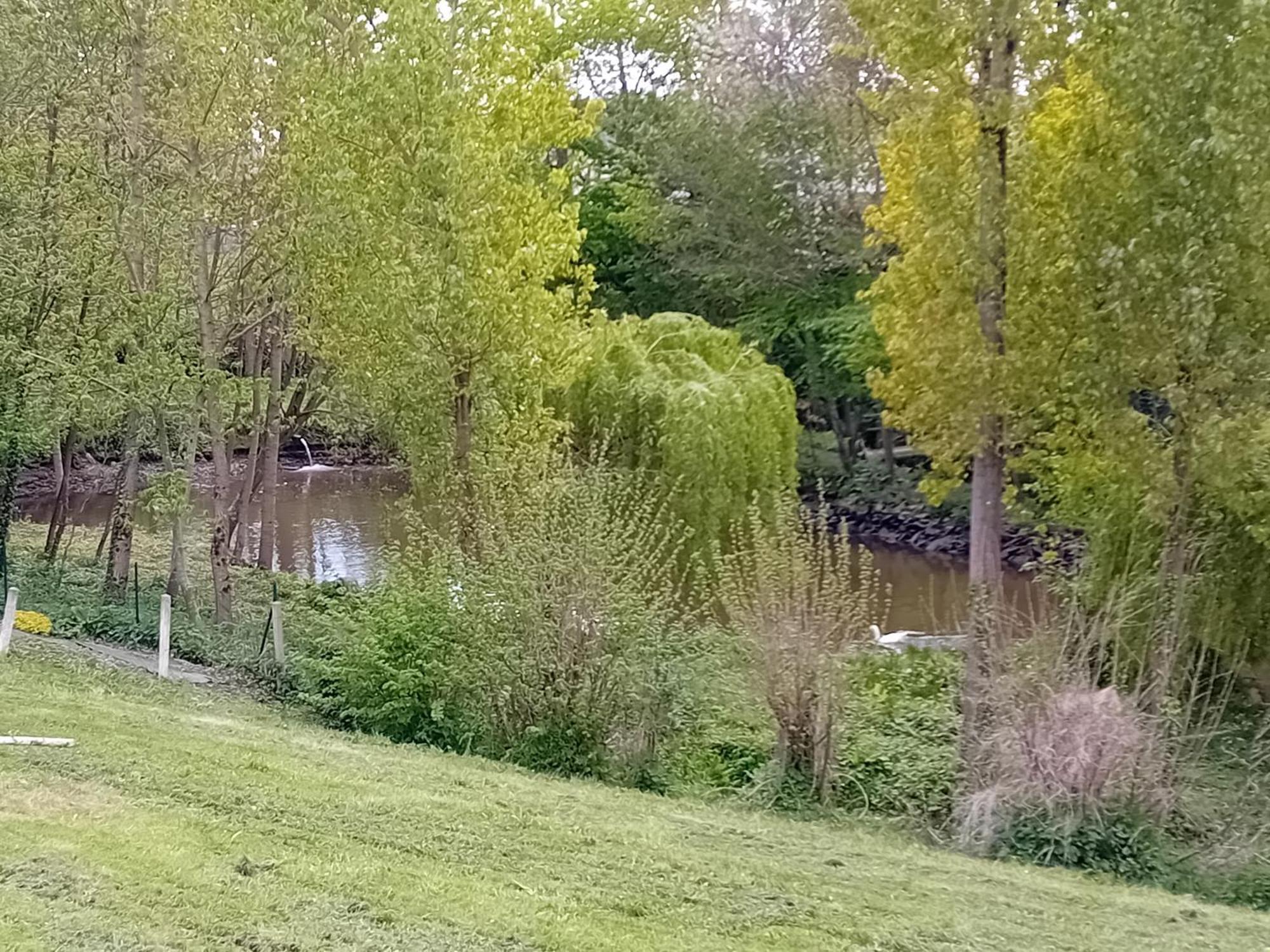 Maison Au Coeur De La Nature Cerisy-la-Foret Eksteriør bilde
